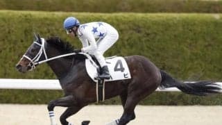 【平安S予想】前走で大敗した馬でもチャンスあり！ 前走での人気が一変の鍵を握る