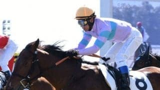 【葵S想定馬・騎手】ナムラアトム、アララララなど25頭