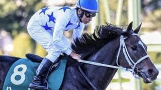 京都ダートはディープ系に注 ダート替わりでハピが巻き返す