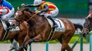 半兄は重賞2勝サトノアーサー  アトロルーベンスが復帰戦で2勝目なるか