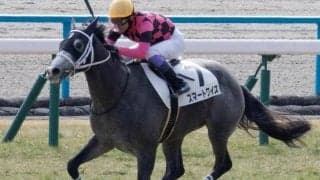 重賞4勝の母を持つ良血 毎日杯5着から自己条件で必勝態勢