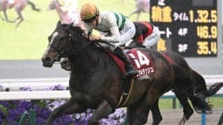 【安田記念想定馬・騎手】ソウルラッシュ、セリフォスなどに加えて香港馬2頭含む18頭