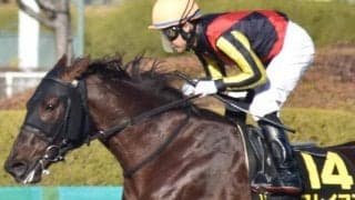 半姉はGI・7勝の名牝 平安Sで一族初のダート重賞Vなるか