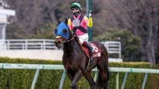 【目黒記念想定馬・騎手】シュトルーヴェ、サトノグランツなど8頭
