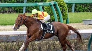 【平安S予想】帝王賞に繋がる重要なステップ 逃げ、先行馬が有利に運べる舞台