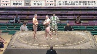 「す、すみません…」19歳巨体力士が肩をすぼめて猛省 立ち合い不成立で大恐縮の仕草にファンほっこり