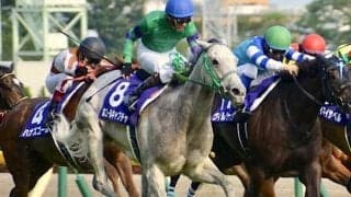 ヴィクトリアマイル覇者の仔 既走馬相手にデビューV狙う