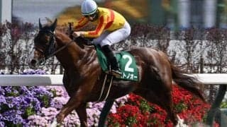 【平安S結果】ミトノオーが逃げ切りJRA重賞初制覇