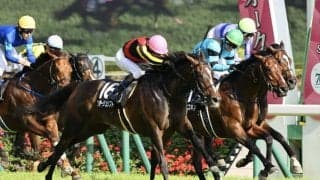 【メイS】プレサージュリフト2年3ヶ月ぶり勝利