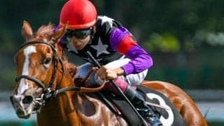 昨年の函館2歳S3着馬 約半年ぶりの復帰戦で2勝目なるか
