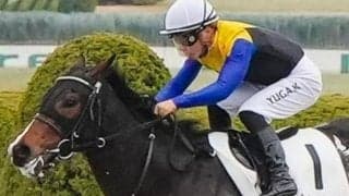 半兄に砂の実力馬ユティタム 金子真人オーナーのパカーランが連勝なるか
