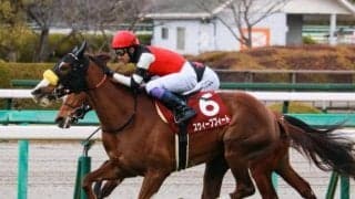 【AI予想・オークス】昨年から一転し今年は混戦模様！ 本命は前走で能力の高さを証明し条件替わりも魅力な末脚自慢