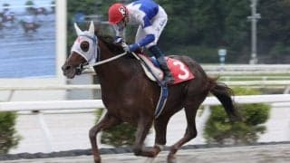 【高知・山桃特別】マジックセブンが4連勝