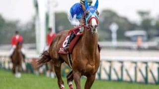 【オークス予想】世代の女王に輝くのは？ ステレンボッシュの二冠か、それとも…