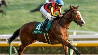 【オークス】樫の女王はチェルヴィニア！ 桜花賞13着から巻き返し