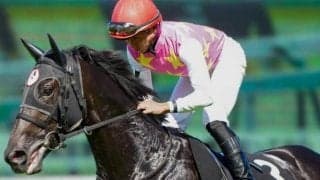 ツィンクル一族悲願のGI制覇、日本ダービーVへ 京都新聞杯覇者のジューンテイクが参戦