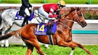 ウマ娘・藤田晋オーナーの3億円馬 外国産馬初の日本ダービー制覇なるか