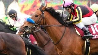 【目黒記念登録馬】クロミナンスなど14頭