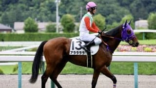 【葵S登録馬】アララララなど23頭