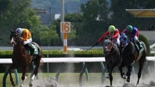 【平安S】売上は37億9235万600円で昨年より約2.1億円増加