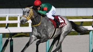 【葵S見どころ】1200mへの距離短縮でエトヴプレが重賞2勝目を狙う