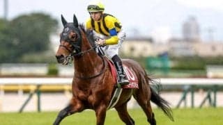 【目黒記念見どころ】コース適性高いヒートオンビートが連覇を狙う