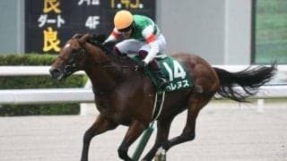 【先週のJRA抹消馬】22年中京記念覇者ベレヌス、芝中長距離で活躍のディアスティマなど