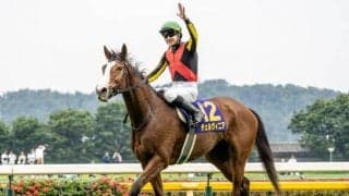 オークスで頼りになる「父ハービンジャー」 チェルヴィニアは東京2400mで先々まで楽しみな存在に
