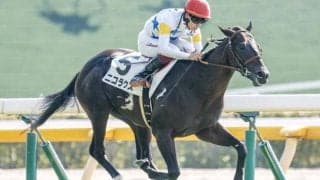 【葵S展望】好走条件に最もマッチするニコラウスが狙い目