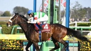 日本ダービー、異例のローテで挑むシックスペンスは世代の頂点に立てるほど強いのか？