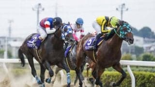 【浦和・プラチナC枠順】連覇を狙うサヨノグローリーは5枠6番