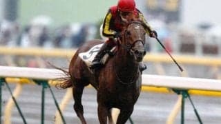 「おじいちゃんが全頭一緒」の珍事！ 名種牡馬のすごさが際立った日本ダービー