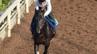 ライジングクロスの2022(クロワデュノール)など、先週の入厩情報/栗東トレセンニュース