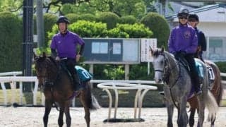 ベルダムの2022(サトノブリジャール)など、先週のゲート試験/栗東トレセンニュース