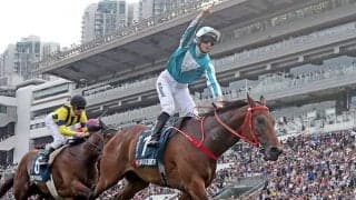 安田記念参戦のロマンチックウォリアーとヴォイッジバブルが来日