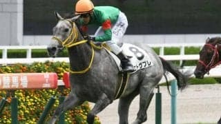 【葵S予想オッズ】エトヴプレが予想1番人気