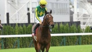 【目黒記念予想オッズ】サトノグランツが予想1番人気