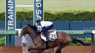 計61頭が総額4億円超で取引 札幌競馬場でトレーニングセール2024が開催