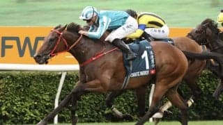 【安田記念】ロマンチックウォリアーなどが来日