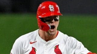 ヌートバーが初の退場処分に　審判に詰め寄り珍しく激怒…ストライク判定に不満か