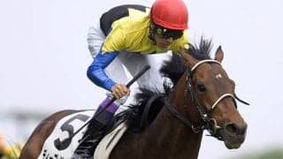 GIを複数勝った馬は？ 種牡馬としては？ 日本ダービー馬のその後を追う