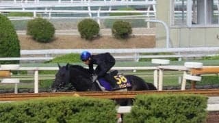 ステラヴェローチェ、安田記念1週前追い切り速報/栗東トレセンニュース