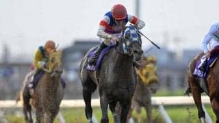 【浦和・プラチナC結果】アマネラクーンが差し切って重賞初制覇！