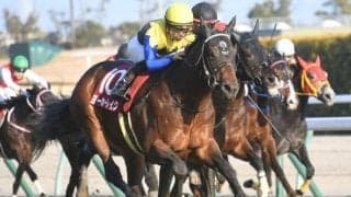 【鳴尾記念想定】ヨーホーレイク、ボッケリーニなど13頭