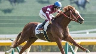 【日本ダービー予想】好走条件をすべてクリア AIが推奨した妙味ある一頭とは？