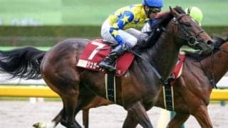 兄は生涯唯一の2桁着順 キタサンブラック弟が日本ダービーで無念を晴らせるか