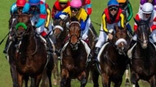 3連系馬券は高配当も珍しくなく 日本ダービー近10年の配当を分析してみた