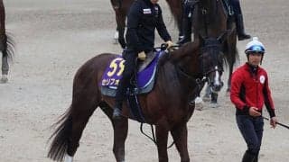 セリフォス、安田記念1週前追い切り速報/栗東トレセンニュース
