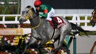 【葵S出走馬・騎手確定】エトヴプレ＆藤岡佑介騎手、ナナオ＆和田竜二騎手など18頭