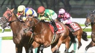 【目黒記念出走馬・騎手確定】サトノグランツ＆川田将雅騎手、シュトルーヴェ＆J.モレイラ騎手など13頭